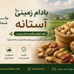 فروشگاه اينترنتي آكزين كالا