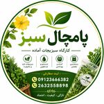 سبزیجات آماده پامچال