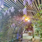 مجموعه توریستی تفریحی گردشگری ساعت هشت