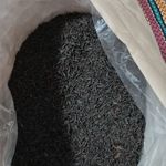 پخش چای لاهیجان