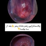 کارشناس مامایی فراهانی