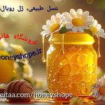 هانی شاپ (عسل فروشی طبیعی)
