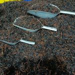 تولیدچای ایرانی لاهیجان) چای ژاله دوست