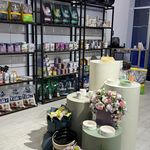 پت شاپ سیلپا