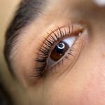 خدمات تخصصی مژه محدثه