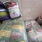مواد غذایی حبوبات و خشکبار کارپرداز