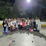 آکادمی اسکیت پارمیس