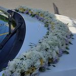 گلفروشی سی تو (ارسال رایگان)