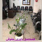 المیرا رودگر وکیل داوری و مشاوره حقوقی