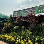 تولید و توزیع گل و گیاه قلب سبز