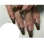 سالن زیبایی خدمات کاشت ناخن و بافت مو