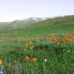 منطقه حفاظت گردیده دیزمار