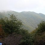 منطقه حفاظت گردیده دیزمار