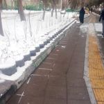 بوستان پرستو