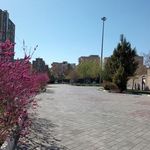 پارک کوی البرز