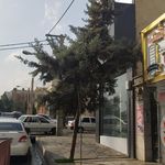 سوپرپروتئینی تهران