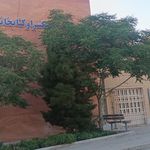 کتابخانه شفق