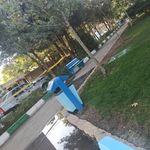سرویس بهداشتی بوستان سوسن