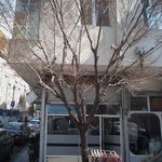 سالن زیبایی یاس