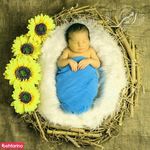 عکاسی تخصصی نوزاد و کودک  امیر