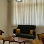 مریم میرزائی دکتری تخصصی روانشناسی