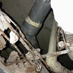 مسعود کشاورزی