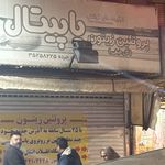 پخش زیتون
