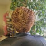 سالن زیبایی و آموزشگاه کلبه نیلوفر