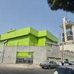 شرکت خدمات ارتباطی و الکترونیکی ایرانیان نت(اپراتور چهارم مخابراتی کشور)