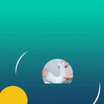 موسسه خدمات پرستاری در منزل آسایش