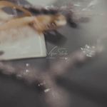 استدیو ویژن ، آتلیه عکاسی و فیلم برداری عروس و داماد