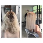 خدمات احیا و صافی و کوتاهی مو parihair