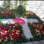 خدمات باغبانی هرسکاری گلکاری متخصص خاک