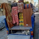 مصطفی شکیبا