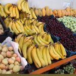 میوه سرای آرش
