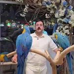 پرنده سرای بیات پروت