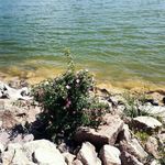 سد کایان (میجمیر)