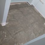 سید وحید موسوی قره حسنی