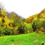 جاده گرگان شاهرود (توسکستان)