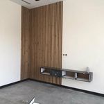 سید وحید موسوی قره حسنی