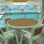 استخر آریان قزوین