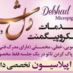 طراحی ابروی دلشاد