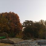 دفتر مدیریت پارک جنگلی لویزان