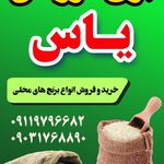 برنج فروشی یاس