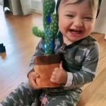 فروشگاه اسباب بازی جوجه تیغی