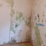 جواد یوسفی پلکوئی