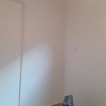 جواد یوسفی پلکوئی