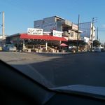 گلکده بونسای
