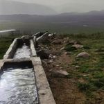نانوایی تشنیز