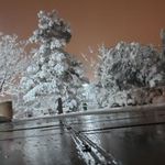 بوستان ابن سینا